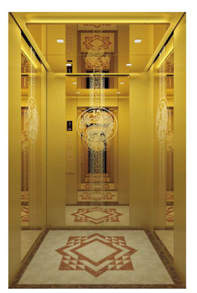 Passenger Elevator - Luxury Gold (A)
